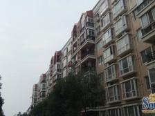 枫庐新天地 南北通透,采光好 视野好,诚心出售