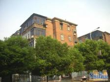 育新单位正规大三房人民公园旁边 楼层好 有院卫停汽车