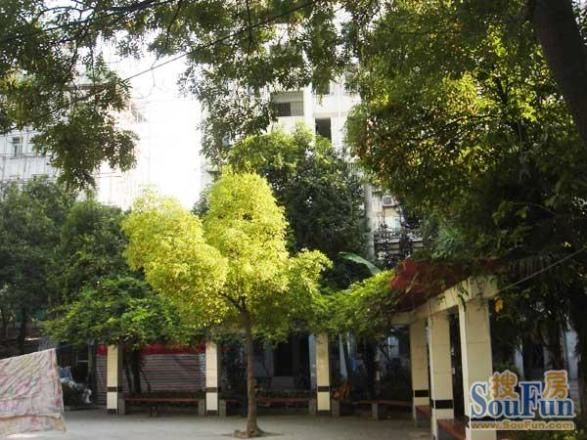 北京东路小区实景图