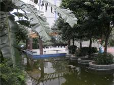 动物园轻轨沿线 装修好 电梯房 直接入住