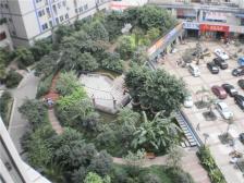 毛线沟 锦龙苑三房61万