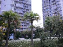 奥体旁新出大三房出售 视野开阔 价格实惠