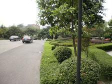 谢家湾 文化七村二房80万