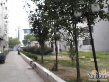 江山花园 南北通透,采光好 近地铁 周边匹套完善,,出行方便