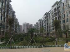 金嘉名筑 南北通透,采光好 装修好,环镜优美 视野好,诚心出售