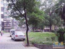 三经路 南北通透,采光好 装修好,环镜优美 周边匹套完善,,出行方便