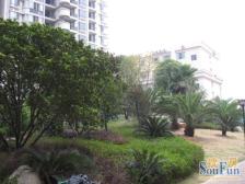 尚南云顶 1室1厅 北