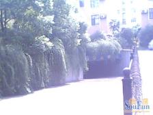 新田绿洲 南北通透,采光好 装修好,环镜优美 视野好,诚心出售