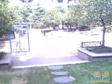 新田绿洲 南北通透,采光好 装修好,环镜优美 中间楼层