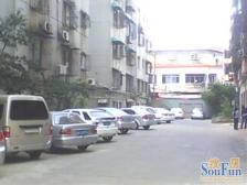 怡园小区 南北通透,采光好 视野好,诚心出售