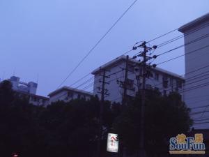 邮小 学 区 两室一厅 低层 出入方便 全天台阳