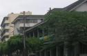 木仁星期八实景图