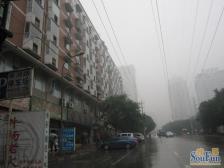 南湖雅阁 1室1厅 东南