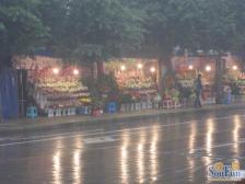 出行方便.价格可砍,电梯房.户型采光好.南坪商圈房