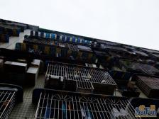 四公里大两房,便宜出售,轻轨旁大两房