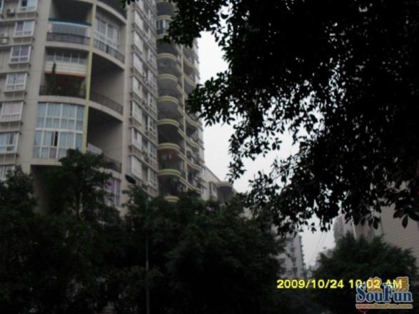 怡园小区实景图