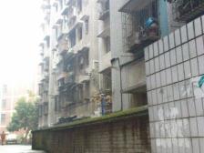 鱼洞 新河街四房61.8万