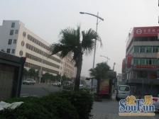 距地铁口1.2公里,步梯低层大三房,楼下有公交站