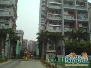 花半里3室2厅南西