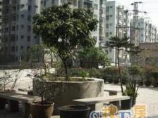 此房过五唯一,税费少,配套设施齐全,交通便利