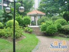 江景房,稀有户型,业主诚售 ,看房方便