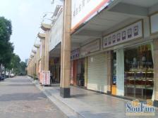 镇中芯 地理位置好 总价低压力小