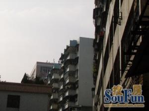 即将有电梯,全新装修视野开阔可以各付各税