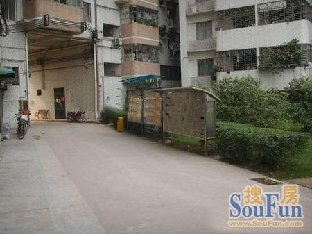 西房经金星花园实景图