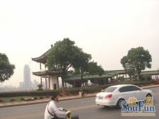 阳明路1室1厅东