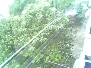 二七北路314号建工技校宿舍南北通透,采光好装修好,环镜优美近地铁中间楼层
