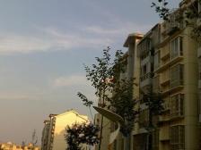 花园角 南北通透,采光好 装修好,环镜优美 近地铁 视野好,诚心出售