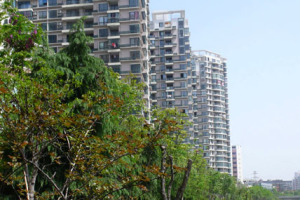 产权清晰红本本在手业主可以随时交易税费很减轻购房