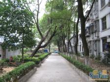 皇殿侧 八一广场旁 好楼层 户型好 看房便利 诚心卖