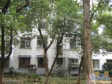 皇殿侧 南北通透,采光好 近地铁 视野好,诚心出售