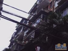 小区环境优美,交通便利,占地面积大 ,阳光充足