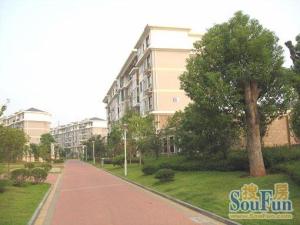 桃花源居(原社保大楼) 南北通透,采光好 装修好,环镜优美 近地铁 中间楼层