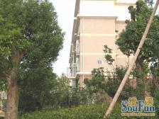 小区严谨干净整洁,全明户型方形板正 户型通透客厅