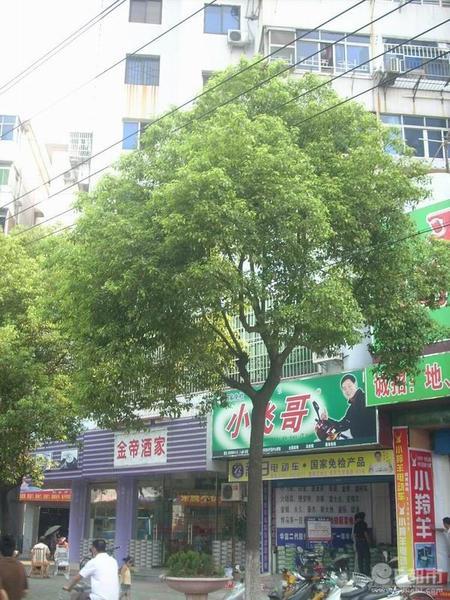 小区相关图
