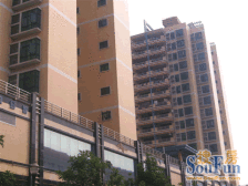 业主诚意出售 朝南三房 看房方便