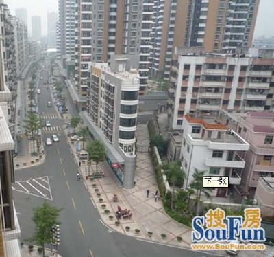 草塘花园实景图