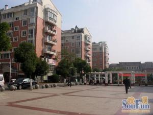 山水茗苑 南北通透,采光好 视野好,诚心出售