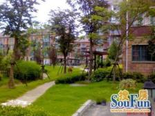 南苑六村3室通透南北朝向215.00万元/套出售