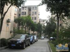 华泾五村 2室1厅 南