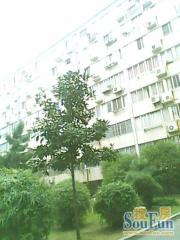 福州路390号江中宿舍 南北通透,采光好 近地铁 中间楼层