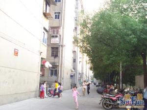 绳金塔小区(锦峰酒店旁) 南北通透,采光好 视野好,诚心出售