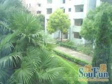 50米近地铁,加装电梯,刚需上车