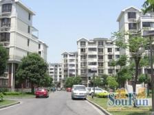 现场实勘 刚需上车 无抵押,业主诚意