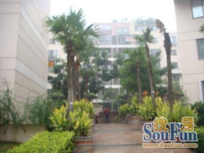 东城叠苑实景图