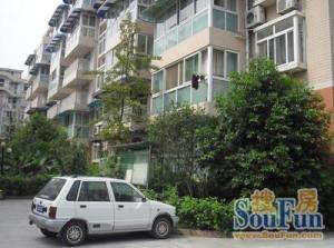 东泰新居 3室1厅 东南