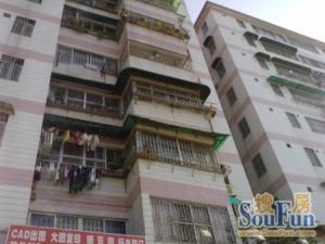 金满家园6号线横沙站精装2房拎包即可入住